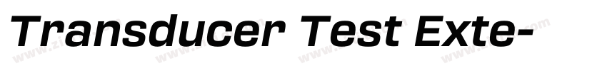 Transducer Test Exte字体转换